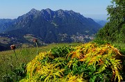 13 Vista ben colorata su conca di Oltre il colle con Alben 